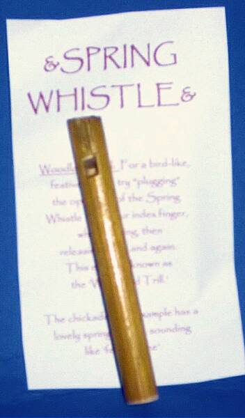 Spring Whistle